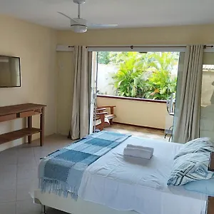 Andorinhas Brasil